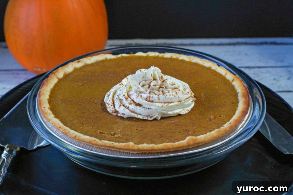 Prize-Winning Canned Pumpkin Pie 9 A beautifully presented whole pumpkin pie, with a centerpiece of whipped cream, set against a rustic background with pumpkins, ready to be served.