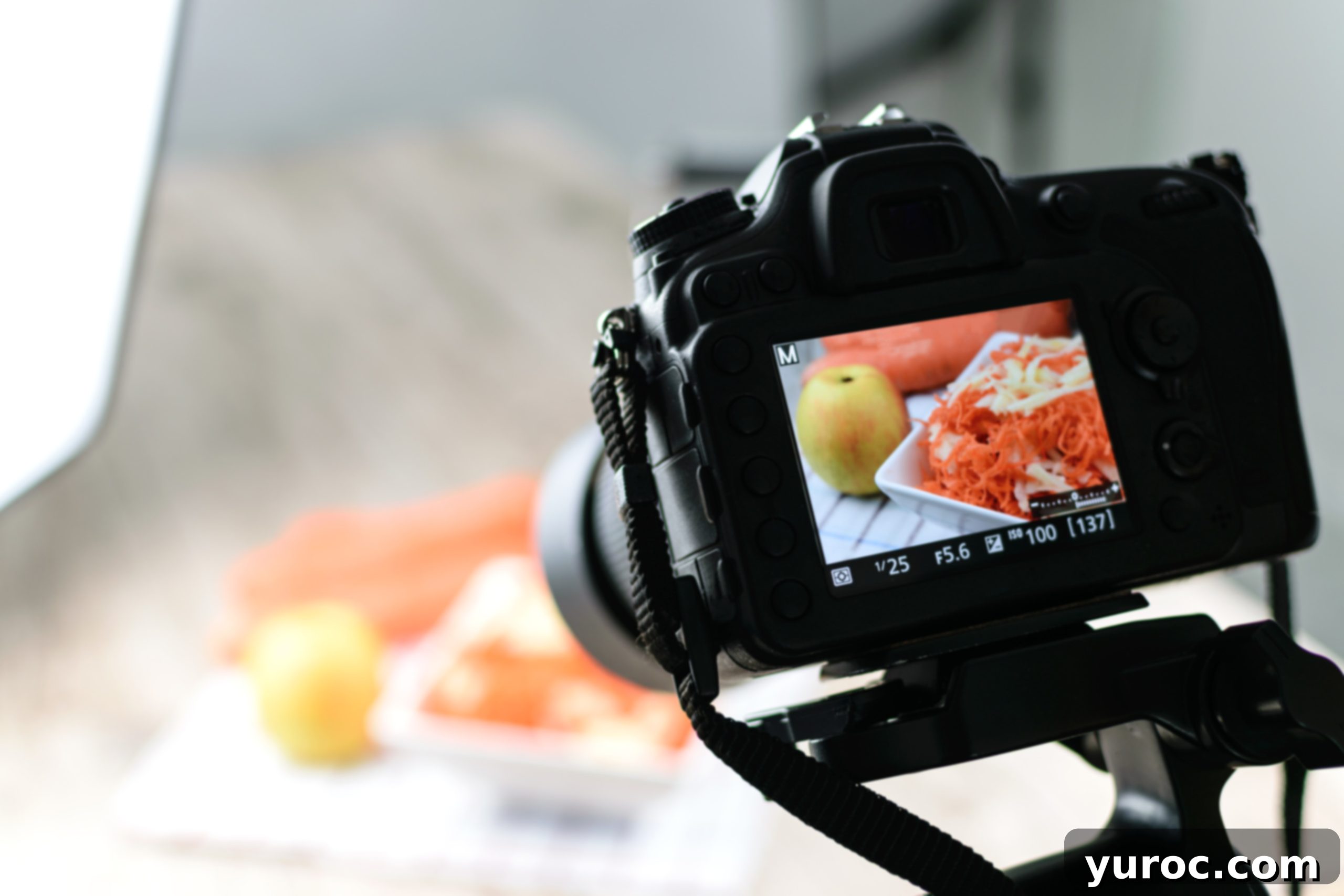 camera set up to take food photos, with image of food in the camera display