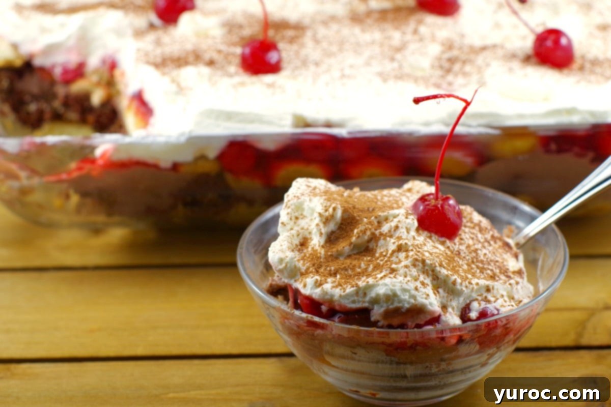Berry Bliss Fizz 8 No Bake Black Forest Tiramisu Dessert | #nobakedessert - Foodmeanderings.com