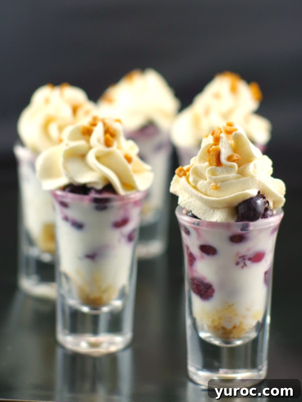 Saskatoon Berry Tiramisu dessert shot glasses with juneberries - Foodmeanederings.com