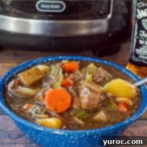 slow cooker beef stew in a blue bowl with slow cooker in the background