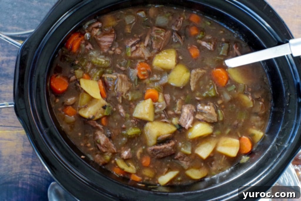 crockpot beef stew in a slow cooker with a ladle