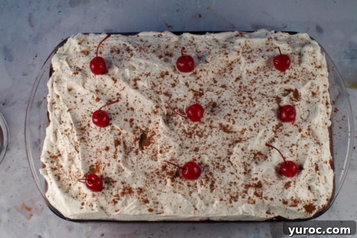 Black Forest tiramisu sprinkled with cocoa and garnished with cocktail cherries
