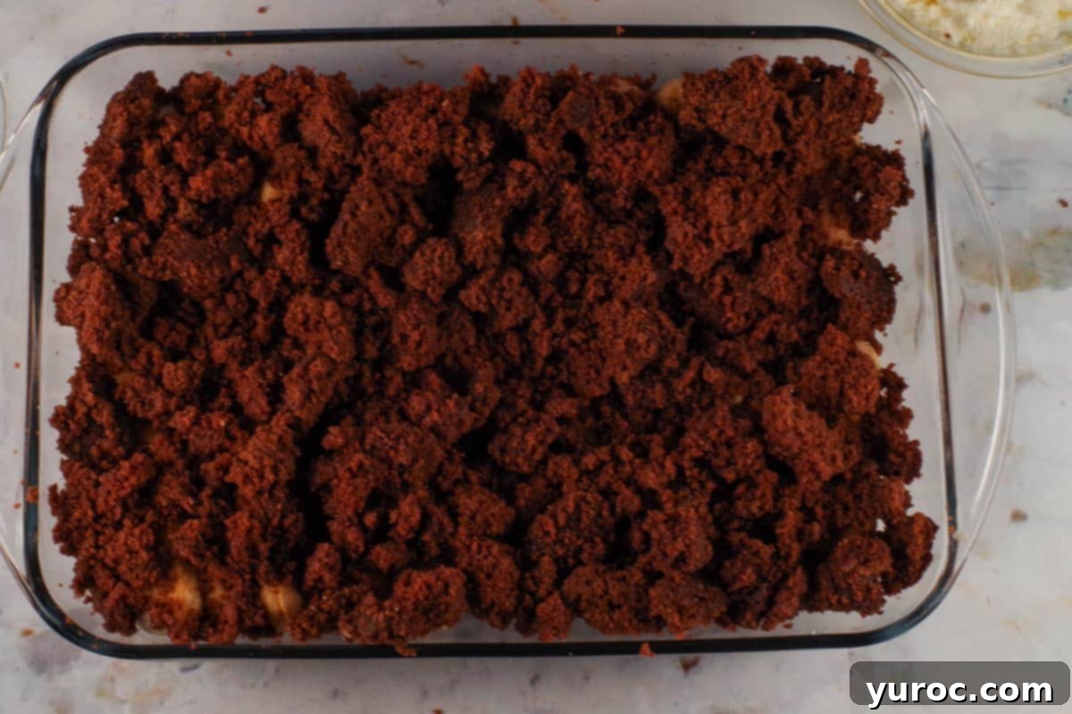 Cake bits sprinkled over the lady fingers layer.