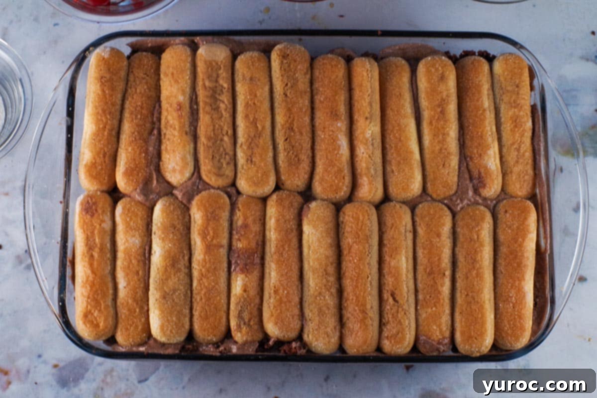 Remaining lady fingers with coffee mixed drizzled over them placed over the pudding layer. 