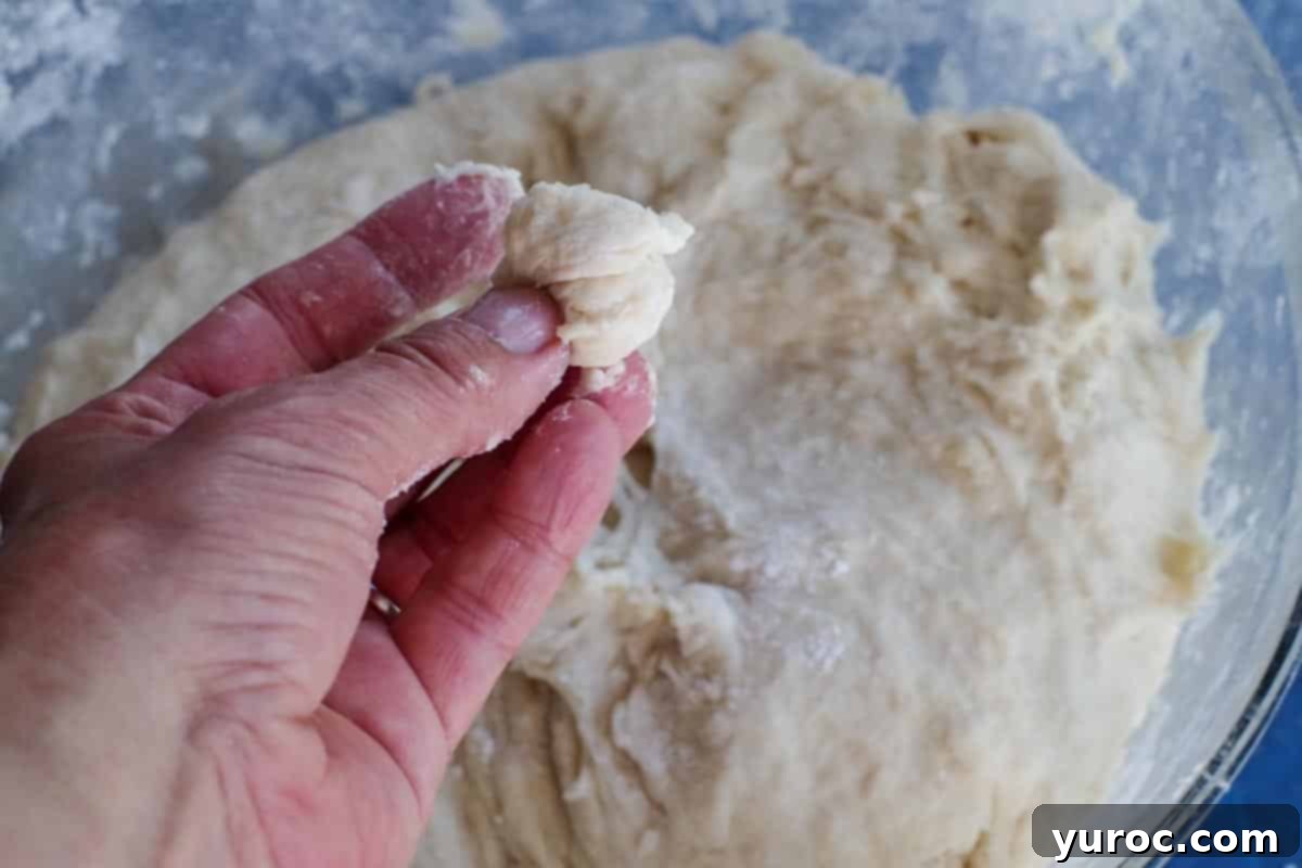 Properly hydrated and non-sticky dough held between fingers.