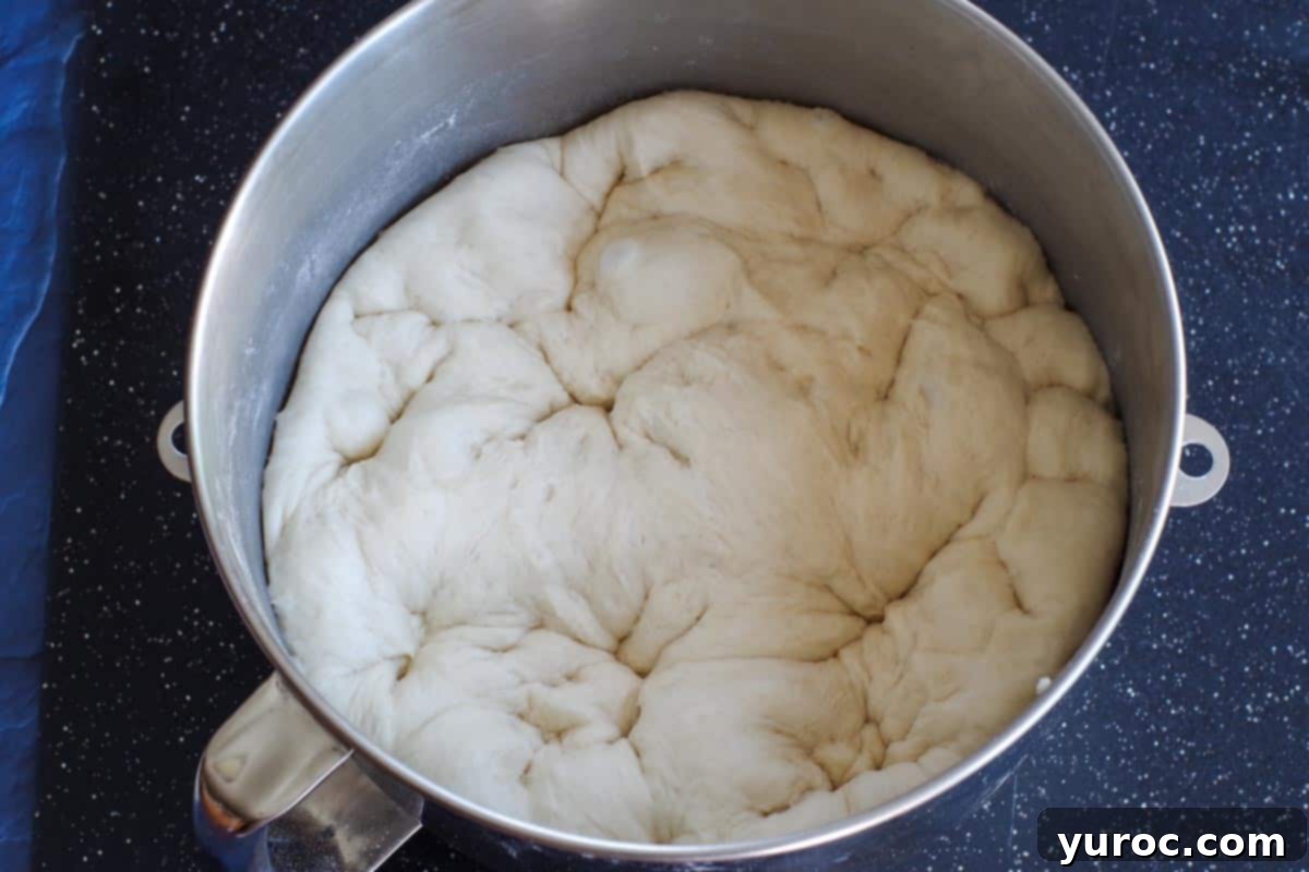 Dough punched down to its original size after rising.