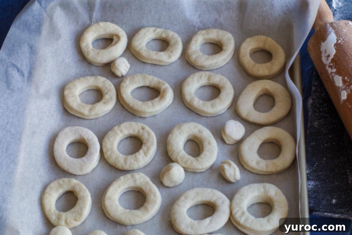 Uncooked mini doughnuts and holes arranged on a parchment-covered baking sheet.
