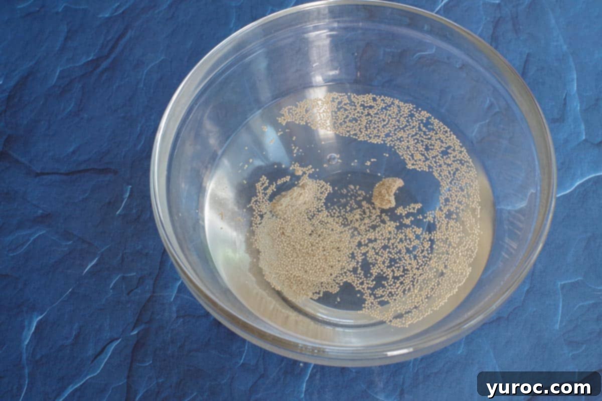 Yeast in a bowl with dissolved sugar and warm water, ready for activation.