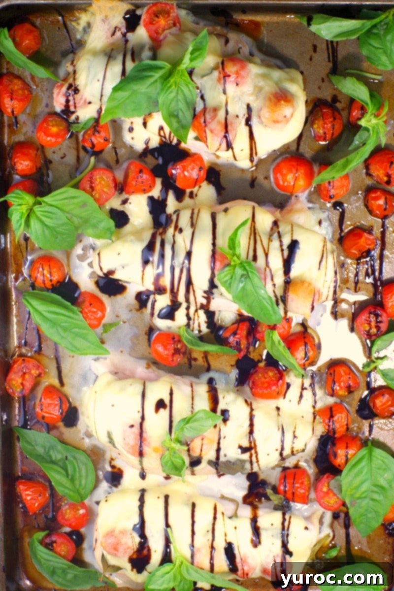 caprese sheet pan chicken on sheet pan ready to serve