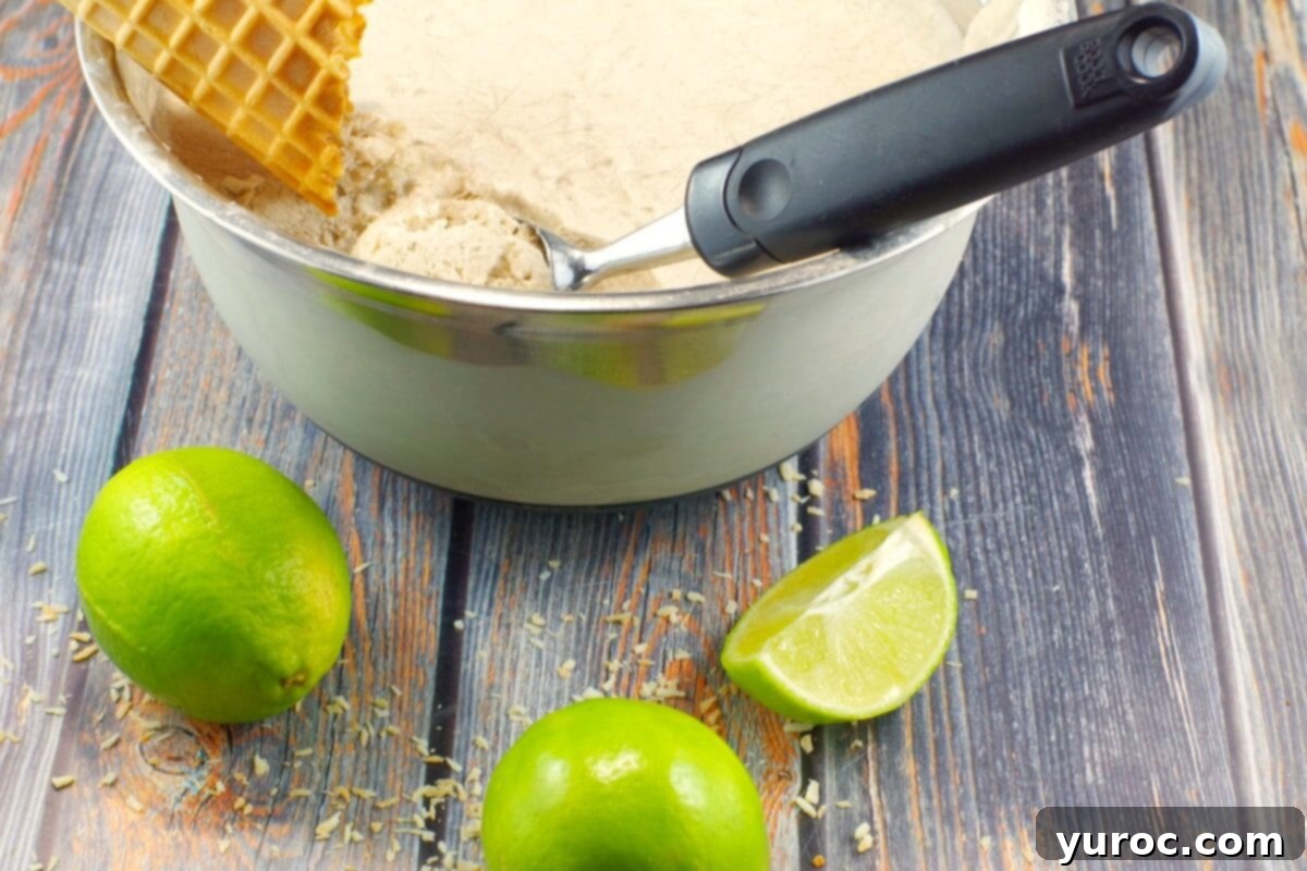A generous scoop of vegan banana coconut nice cream in a bowl, elegantly garnished with toasted coconut and fresh lime zest.