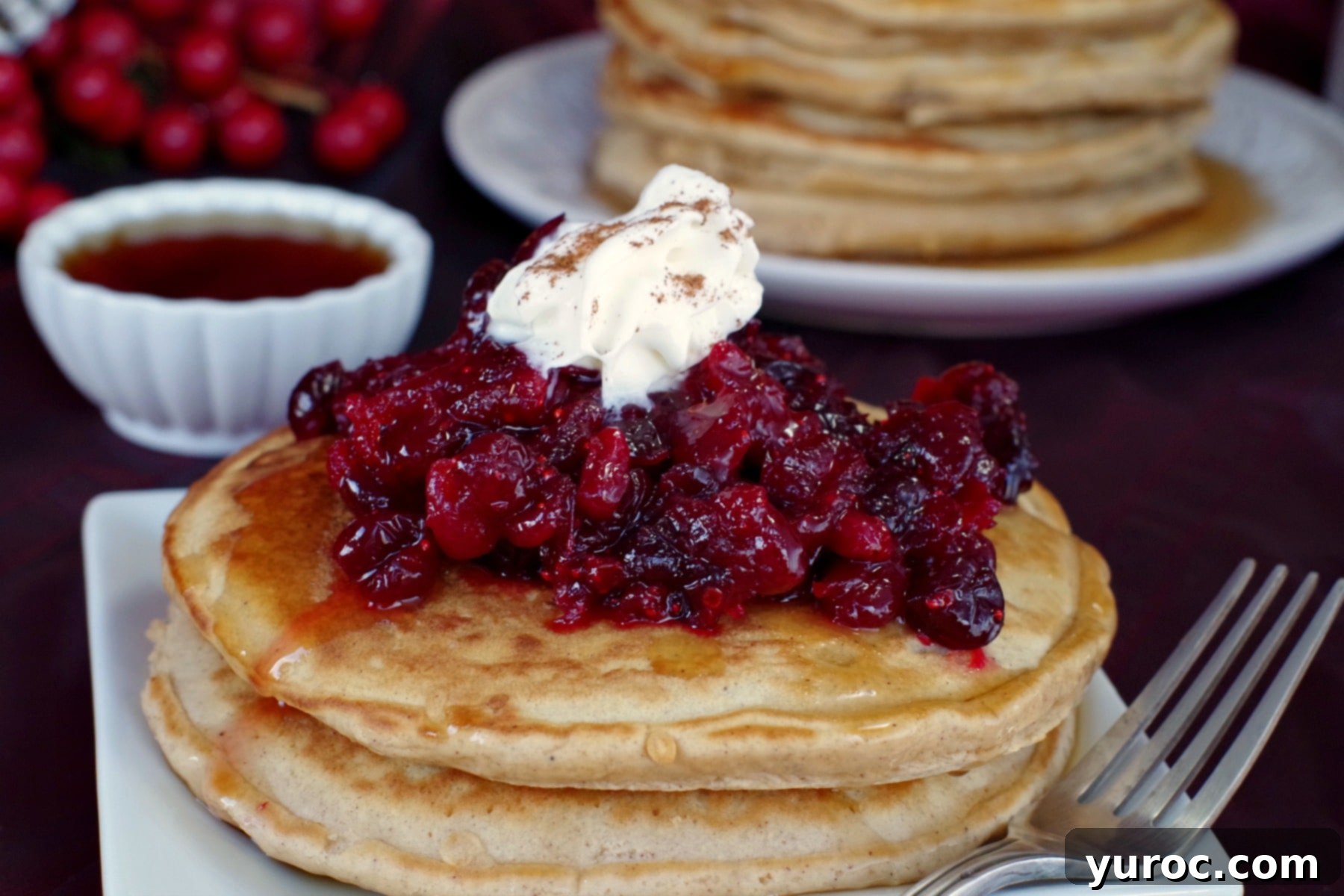 Holiday Spiced Gingerbread Pancakes with Sweet-Tart Cranberry Compote 16 Two individual gingerbread pancakes topped with cranberry compote, with a blurred stack of pancakes in the background, showcasing the delicious holiday breakfast.
