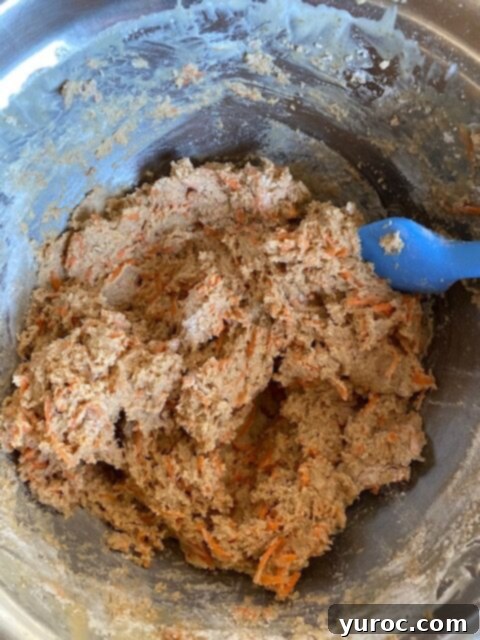 dry and wet mixture combined in bowl