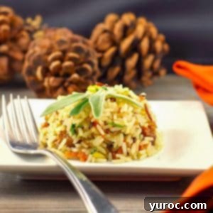 apple rice with sausage on a white plate with pine cones in the background