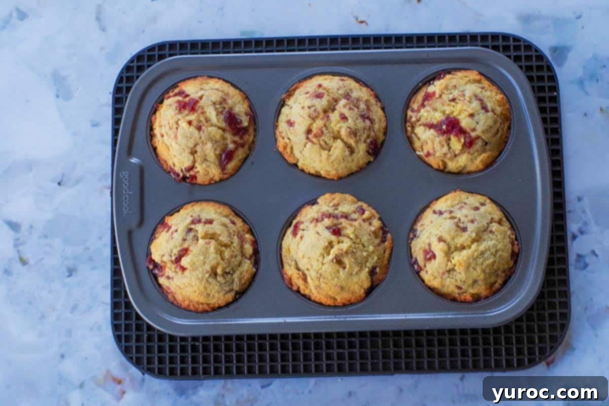 Baked cranberry cornbread muffins in muffin tin on black trivet.