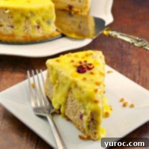 Cranberry Bread Pudding Cheesecake Fusion 6 cranberry bread pudding cheesecake on a white plate with a fork and remainder of cheesecake in background