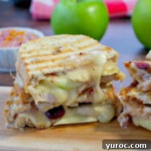 Elevated Turkey Brie Panini 8 Turkey Panini with cranberry and brie on a cutting board with green apples and cranberry aioli in the background
