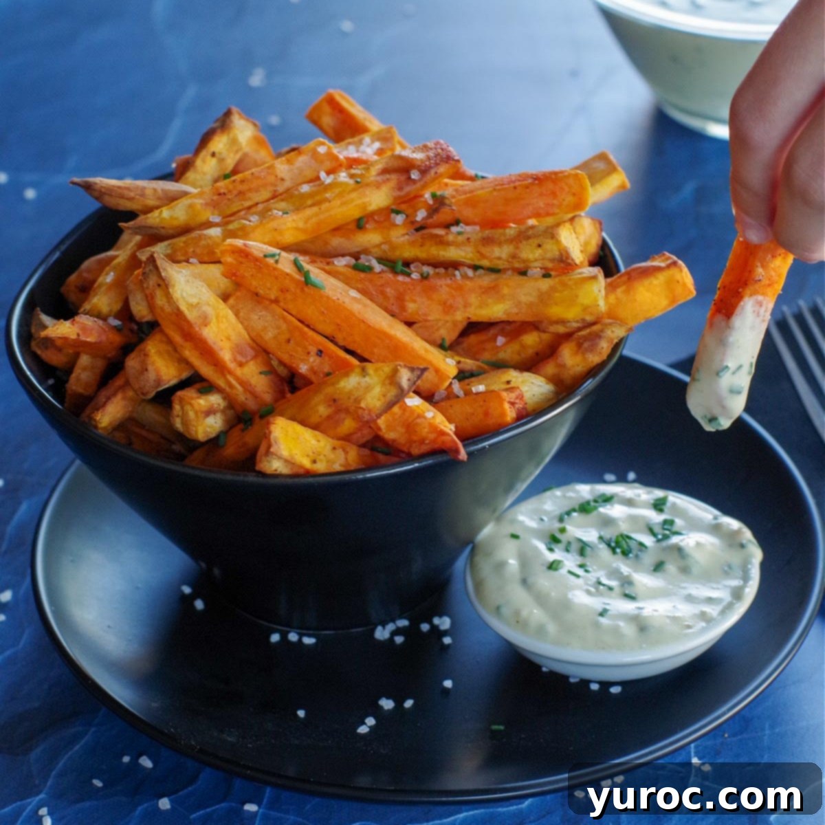 Elevated Turkey Brie Panini 6 bowl of sweet potato fries and dip, with fry being dipped into white bowl of dip