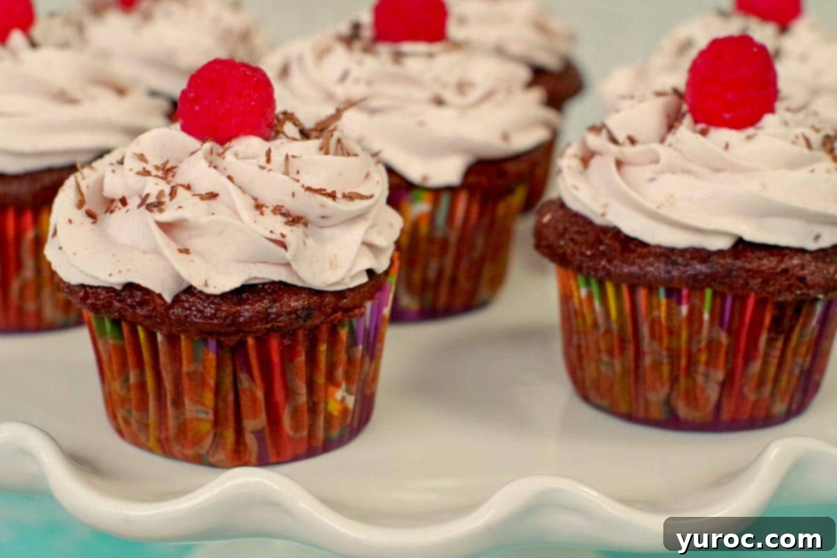 chocolate tiramisu cupcakes on a white cake platter