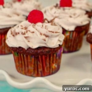 Cake Mix Tiramisu Cupcakes 8 chocolate tiramisu cupcakes on a white cake platter