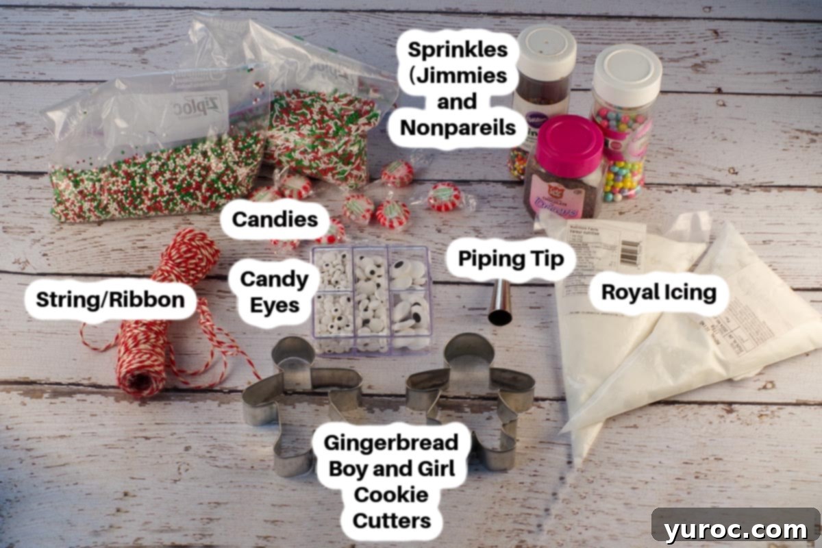 Items needed for decorating no chill gingerbread cookies, labelled.