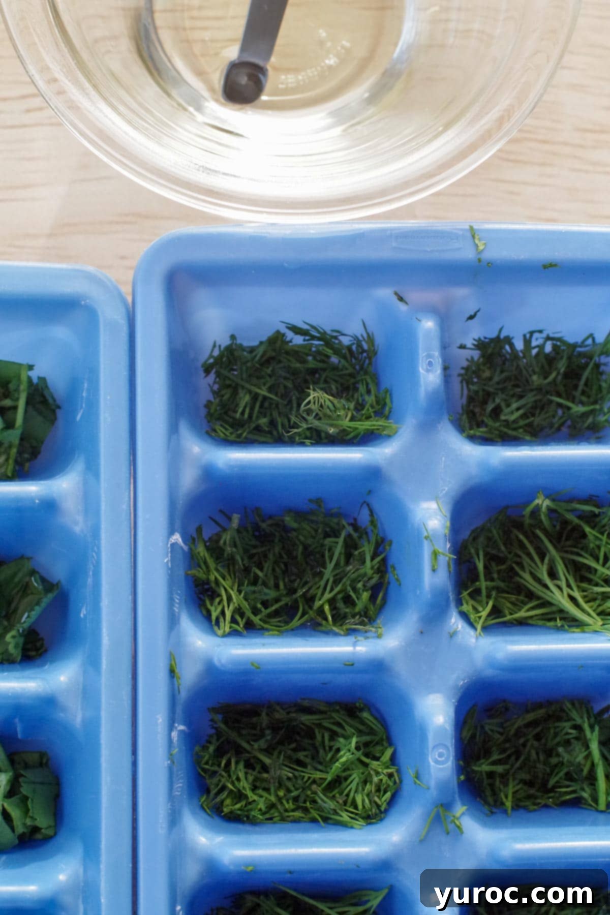 herbs chopped up in ice cube trays with dish of oil in the background