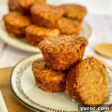 15 Deliciously Healthy Bran Muffin Recipes 13 Three perfectly golden-brown all bran muffins, elegantly arranged on a beige plate with a delicate trim, with a blurred background of more inviting muffins, showcasing their classic bakery-style appeal and moist texture.