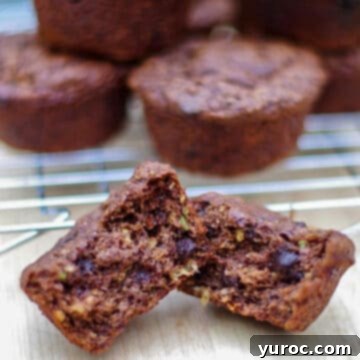 15 Deliciously Healthy Bran Muffin Recipes 3 Rich Chocolate Avocado Banana Bran Muffins with a perfectly moist texture, highlighting the healthy and delicious combination of chocolate, avocado, and banana.