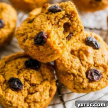15 Deliciously Healthy Bran Muffin Recipes 8 A delicious sweet potato bran muffin, with a playful bite taken out, resting on a wire rack alongside several more wholesome sweet potato muffins, highlighting its inviting texture and warmth.