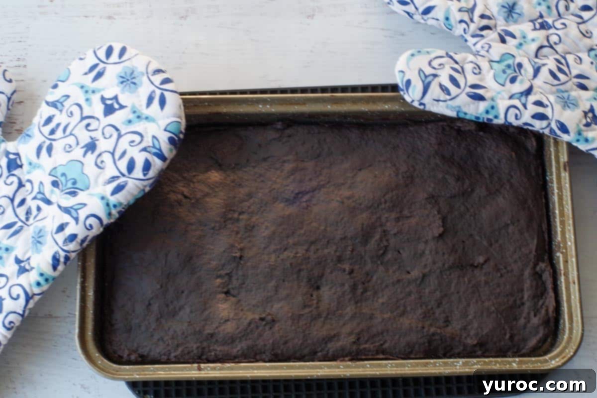 Sneaky Spinach Applesauce Brownies 12 cooked brownies in pan with blue patterned oven mittes