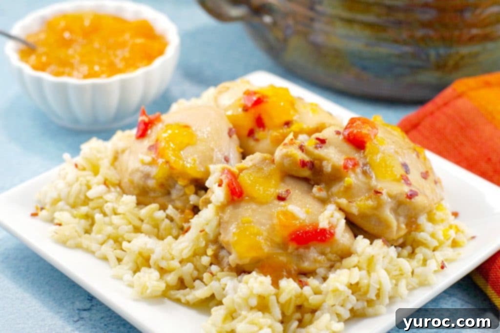 Easy Apricot Chicken | 5 ingredients - Foodmeanderings.com