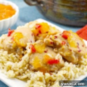 baked apricot chicken on rice, on white plate, with a dish of apricot jam and pot of more chicken in background
