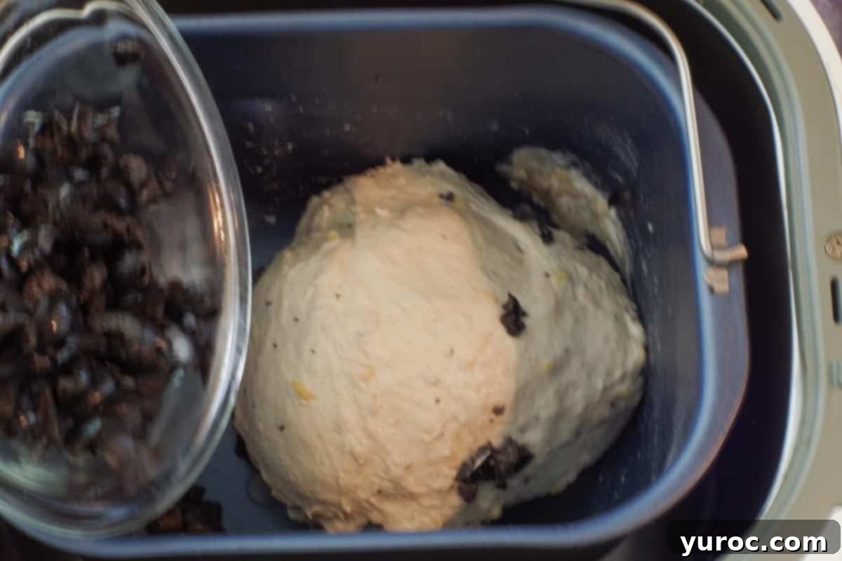 olives being added to dough in bread machine at fruit signal in dough cycle