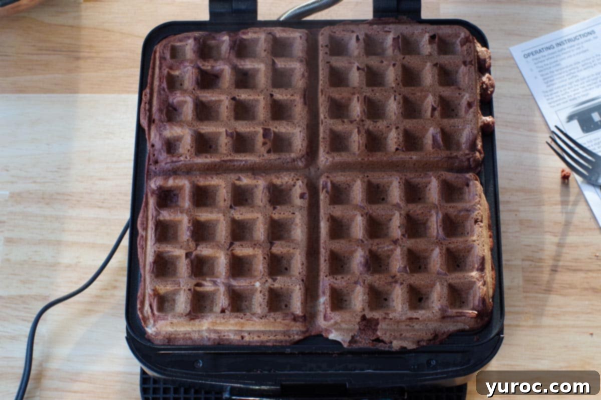 Decadent Belgian Chocolate Waffles 12 waffles cooked on waffle maker