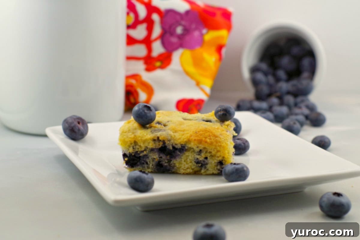 Weight Watchers Blueberry cornbread | healthy, low-fat