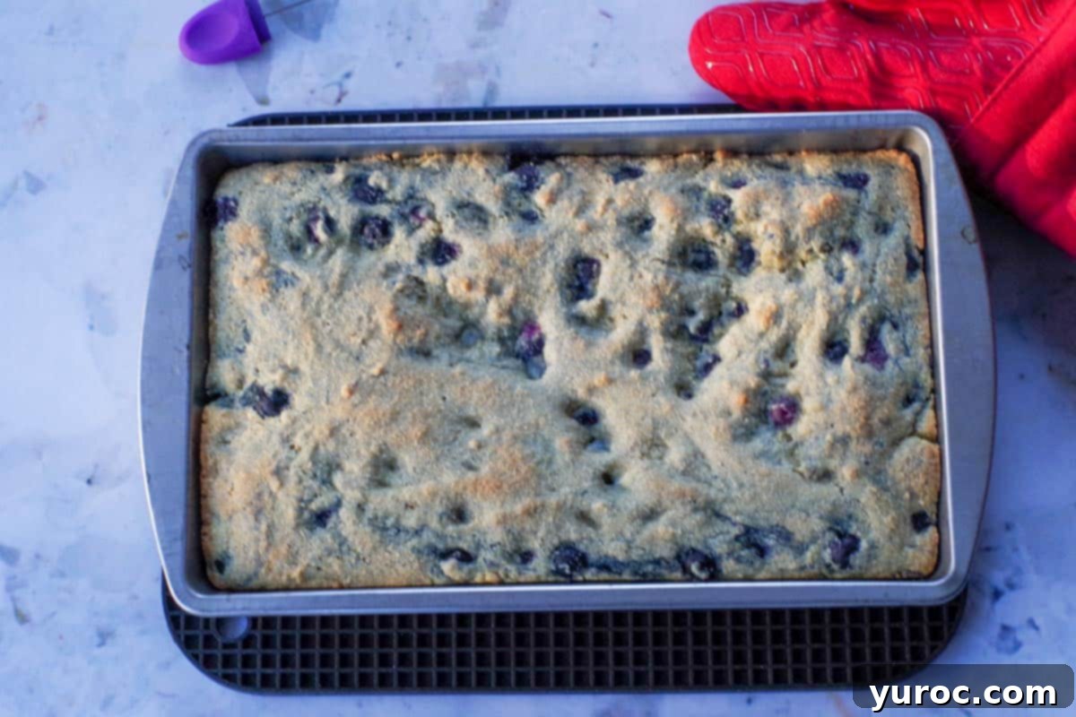 Wholesome Blueberry Cornbread Delight 13 Freshly baked healthy blueberry cornbread in a pan, cooling, with red oven mitts nearby.