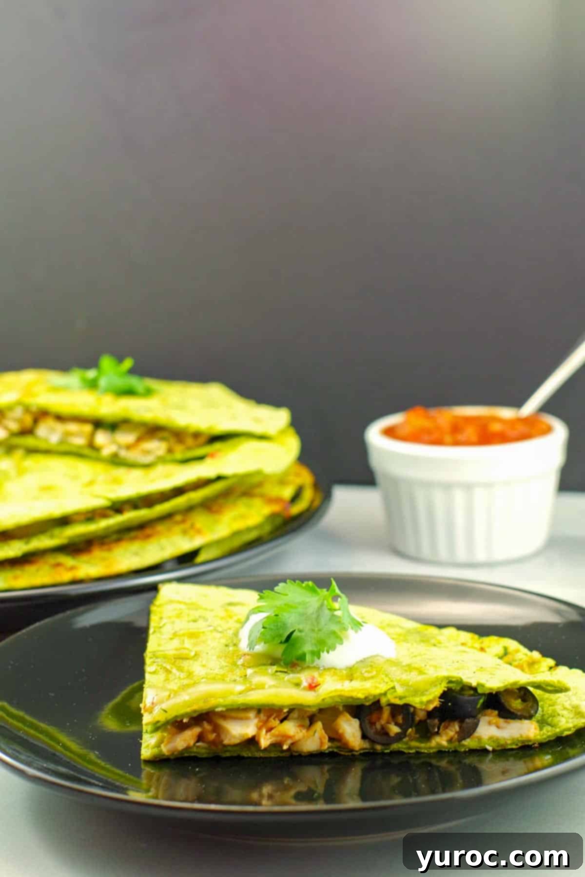 Quick Rotisserie Chicken Quesadillas 10 Rotisserie Chicken Quesadilla on a plate with a platter of more quesadillas in the background.