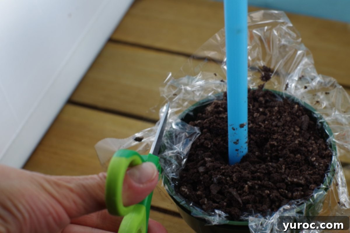 Sweet Seedlings 14 Trimming excess saran wrap from the edges of the flower pot.