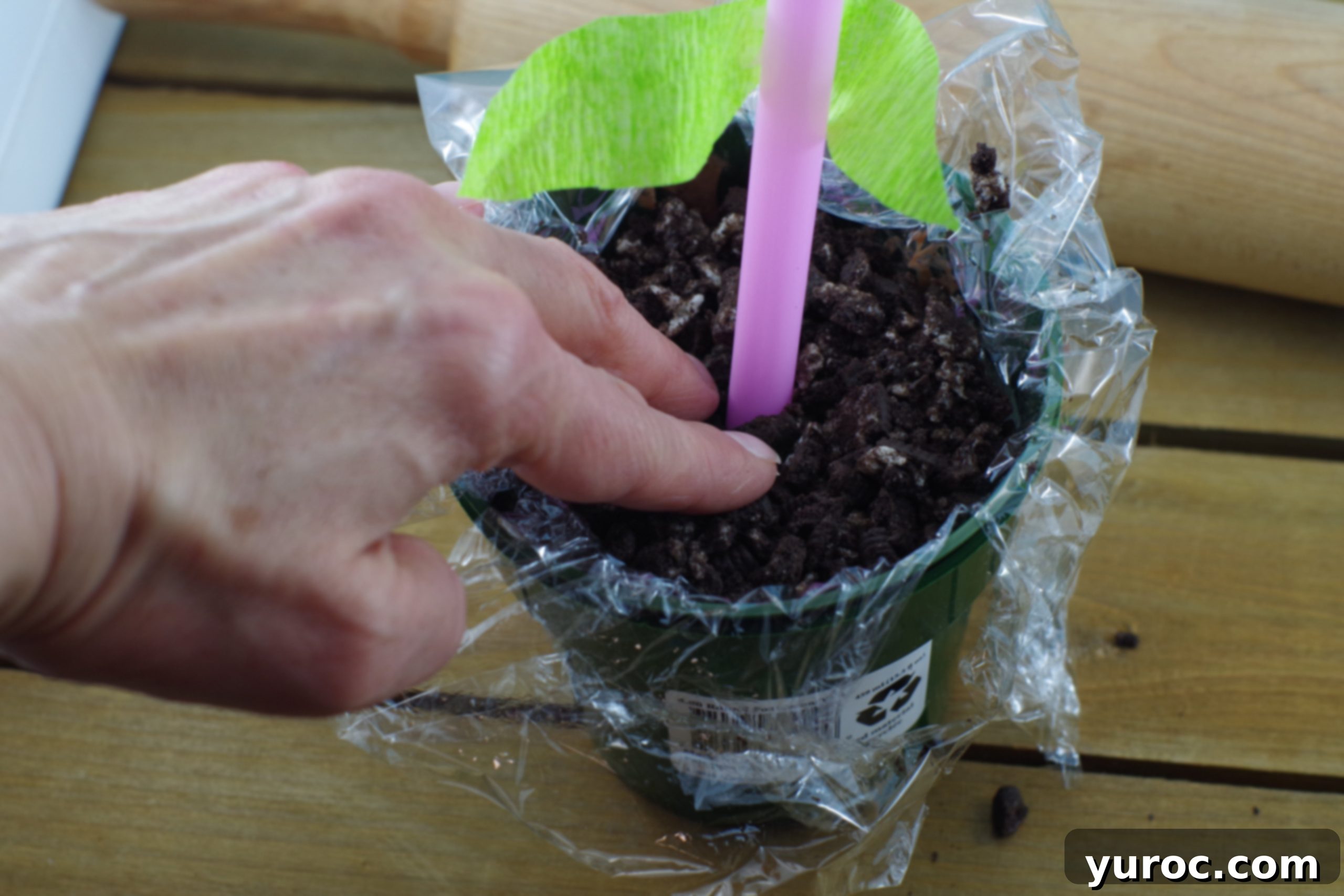 Sweet Seedlings 9 A straw 'stem' placed into the center of the pudding and Oreo-filled flower pot.