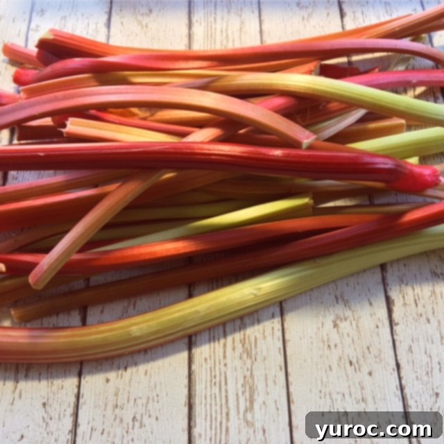Freshly harvested rhubarb stalks, showcasing their distinctive red and green hues, symbolizing its dual identity as a vegetable often used as a fruit.
