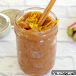 A charming image of homemade rhubarb compote in a jar, beautifully garnished with a cinnamon stick and fresh orange zest, highlighting its unique flavors.