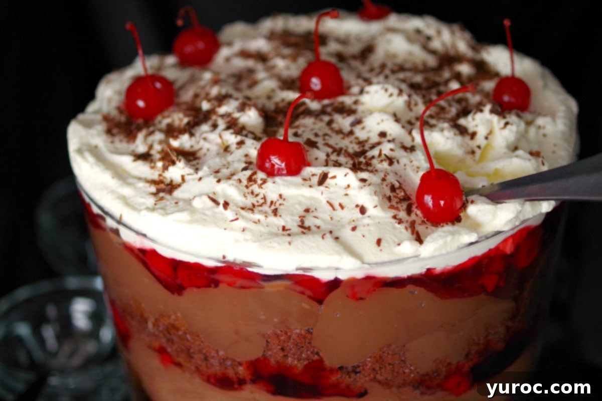 Black Forest Dream Trifle 3 Close-up of the layered Black Forest Trifle in a glass bowl, showing the texture of cake, pudding, cherries, and whipped cream.