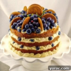Classic Gingerbread Cake with Cookie Butter Filling, a perfect dessert.