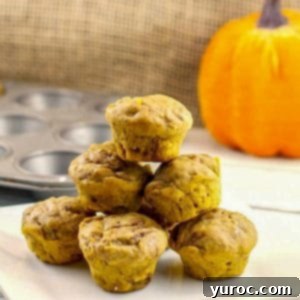 Weight Watchers mini pumpkin muffins stacked on a white plate with mini muffin tin and pumpkin prop in the background
