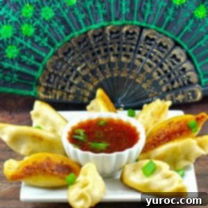 Authentic Wortip Potstickers with homemade dipping sauce