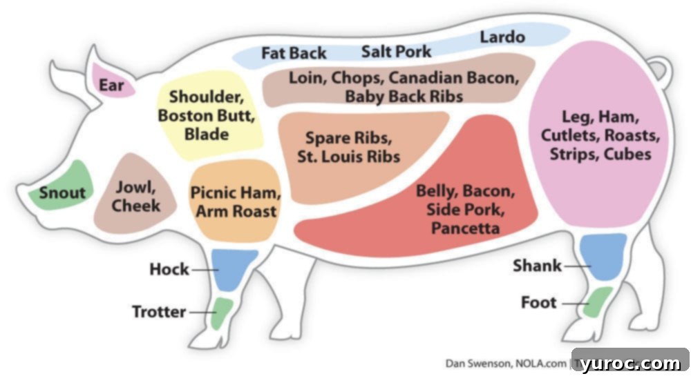 A colored diagram of a pig indicating different cuts of pork, highlighting the shoulder area