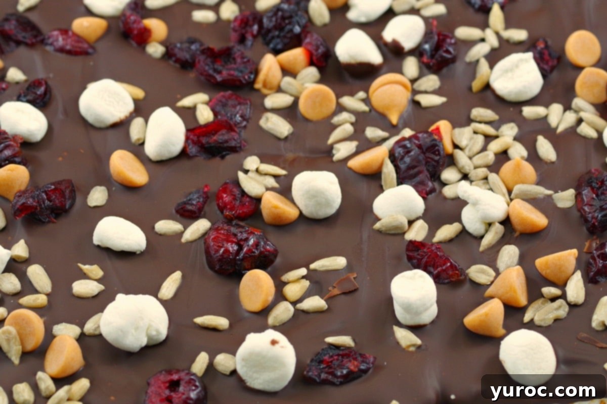 Close-up of a delicious No-Bake Healthy Rocky Road Bar with chocolate, marshmallows, and cranberries
