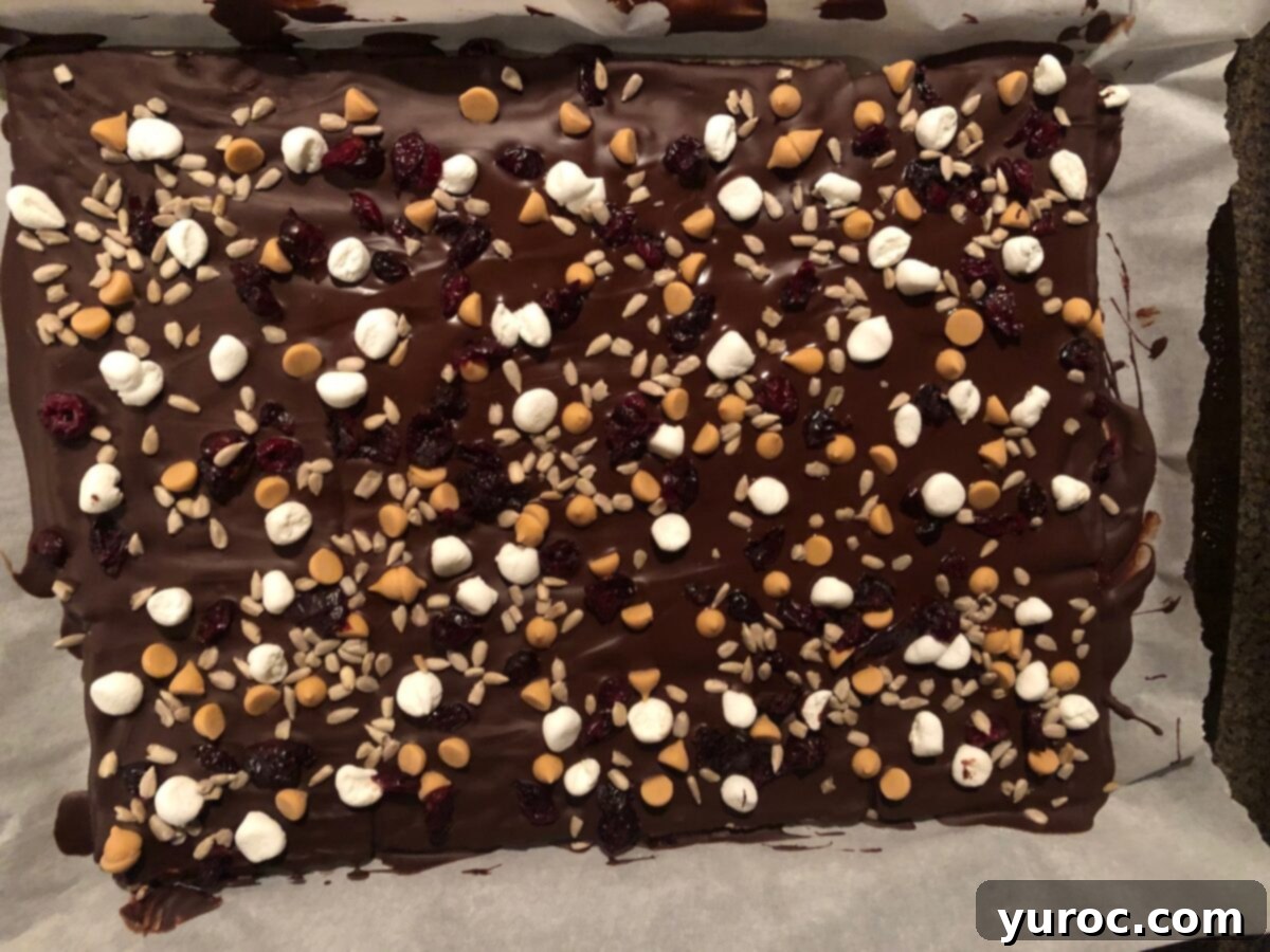 Various toppings including marshmallows, cranberries, and sunflower seeds being sprinkled onto chocolate-covered rice cakes