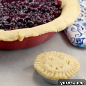No Fail Pie Crust filled with Saskatoon berry pie filling and mini pie in front