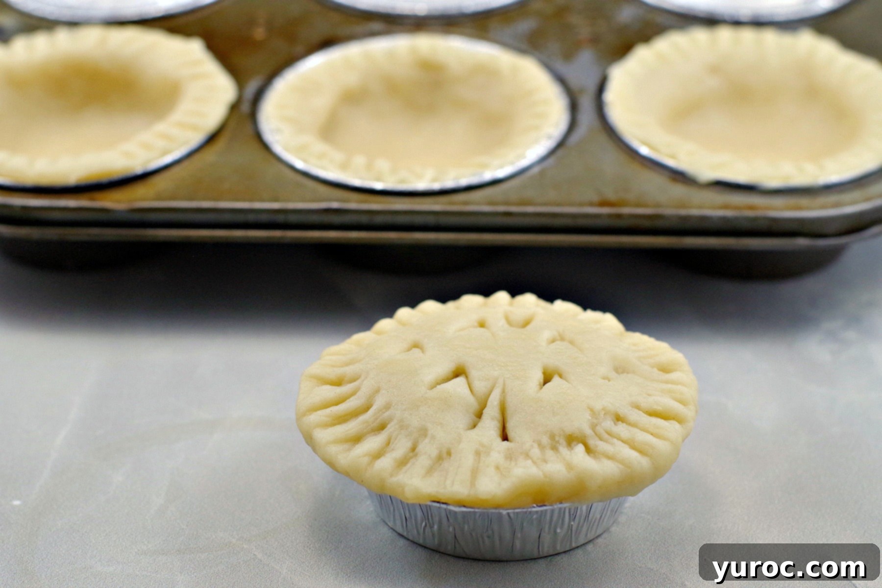 Delicate tart shells made with the reliable no-fail pie crust recipe